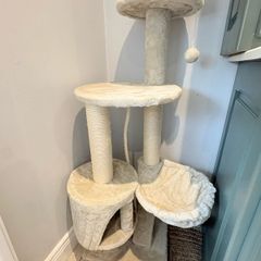 cat tree