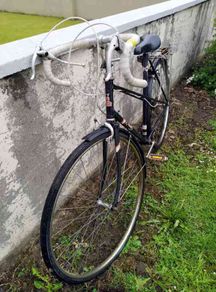 Raleigh Bike