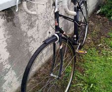 Raleigh Bike