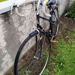Raleigh Bike