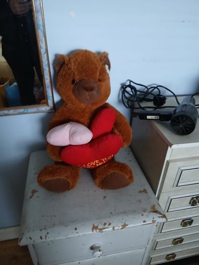 Brand new teddy bear with hearts
