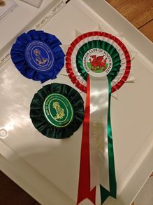 3 Pet Rosettes