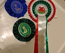 3 Pet Rosettes