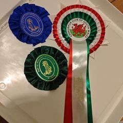3 Pet Rosettes