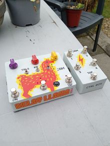 Jam Pedals Delay Llama Xtreme and CRTL box