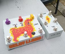 Jam Pedals Delay Llama Xtreme and CRTL box