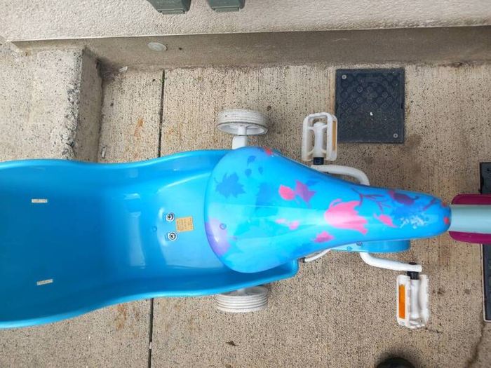 Kids frozen bike size 12 inch wheels.