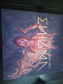 Enigma - The Fall of a Rebel Angel Vinyl Album