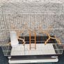 bird cage Image 2