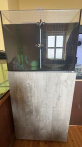 Fish Tank