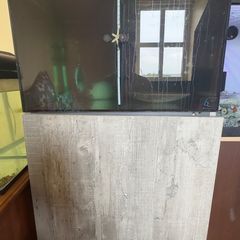 Fish Tank