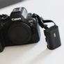 Canon R6 Mk 2 Image 8