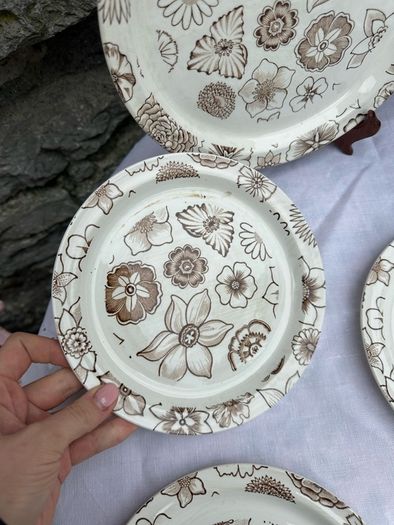 Arklow Pottery Cake/Sandwich Plate and 6 SidePlates