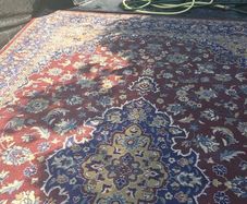 huge Rug  Fresh