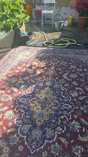 huge Rug  Fresh