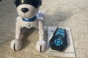 Ziggy the Robo Dog