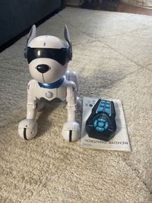 Ziggy the Robo Dog