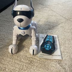 Ziggy the Robo Dog