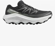 salomon trainers