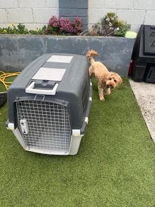 Dog carry case