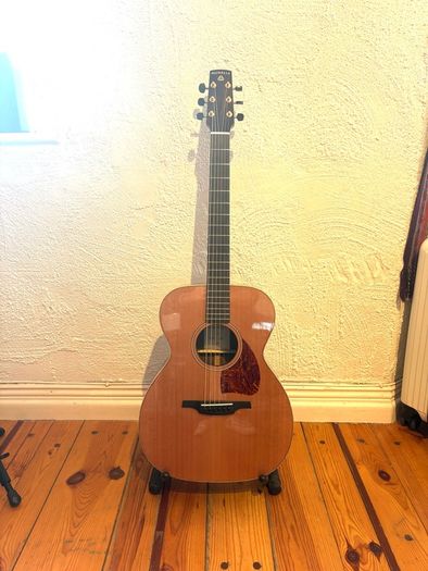 mcnally guitar