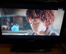 Walker 19 inch TV Model WP1940DCD, comes with remote control