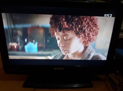 Walker 19 inch TV Model WP1940DCD, comes with remote control