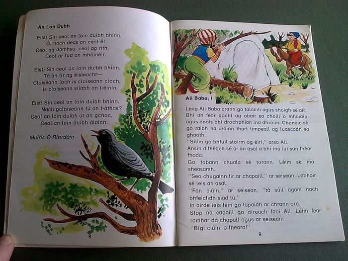 Fas Irish language school book Ireland Gaeilge
