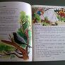 Fas Irish language school book Ireland Gaeilge Image 4
