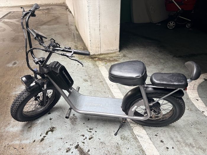 Electric Bike AS201