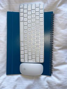 Apple Magic Keyboard and Magic Mouse -  Barely Used