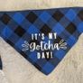 Blue bandana and gotcha day bandanas Image 8
