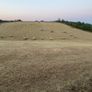 Hay Image 2