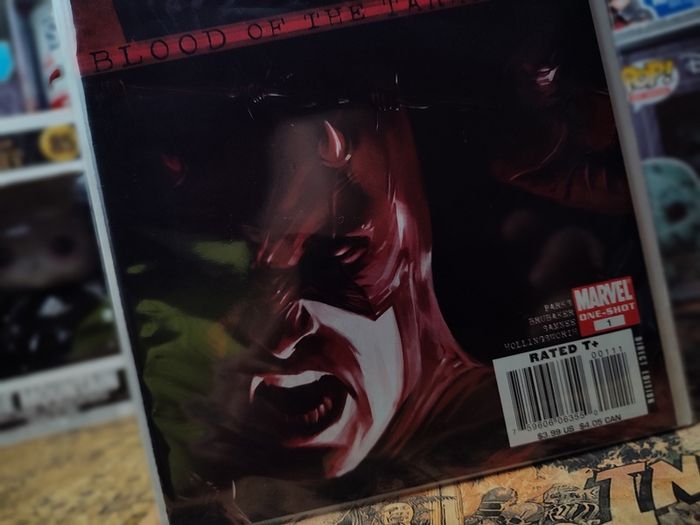 Daredevil: Blood of the Tarantula ! One-Shot ! 2008 ! by Marvel !