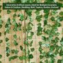 NEW SALE | Artificial Ivy, Vines, Ivy Garlands Artificial (42ft - Pack of 6) Image 7