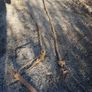 Hay Bogie Ropes Image 2