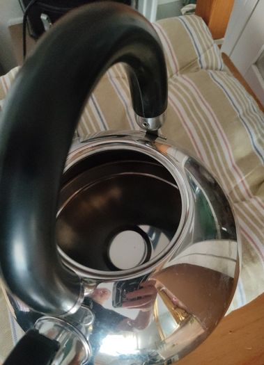 Stainless Steel Whistling Kettle