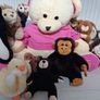 Free soft toys bundle Image 3
