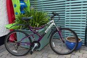 Bikes for sale