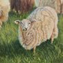 Original Oil Painting- Curious Lamb Image 3