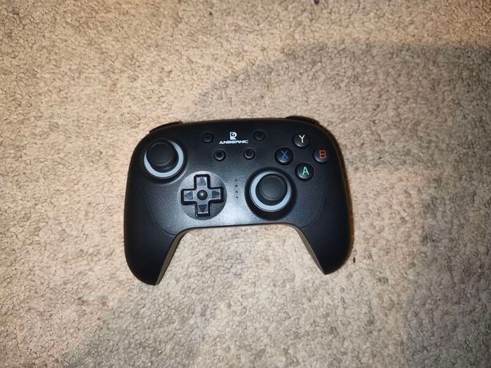 Ambernic Officiall controller