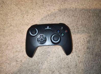 Ambernic Officiall controller