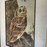 Vintage Original Owl Watercolour Professionally Framed 1970s Image 2