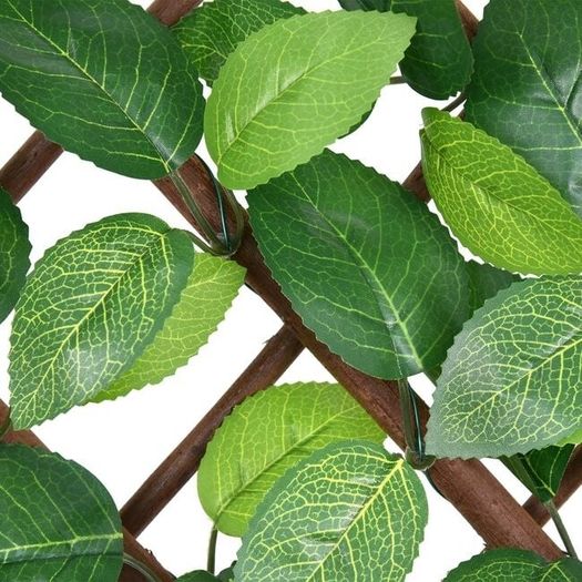 Rose Leaf Trellis 100cm X 200cm