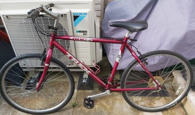 Trek bike
