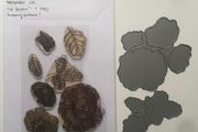 Papertrey Ink "In bloom" photopolymer stamp set with matching dies