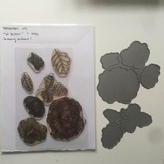 Papertrey Ink "In bloom" photopolymer stamp set with matching dies