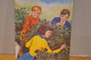 The Hidey Hole by Enid Blyton