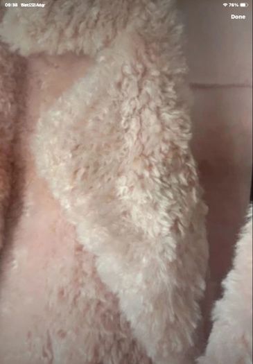 jacket Bnwt pink fluffy teddy style baloot brand size small double breasted jacket