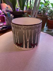 Plant pot